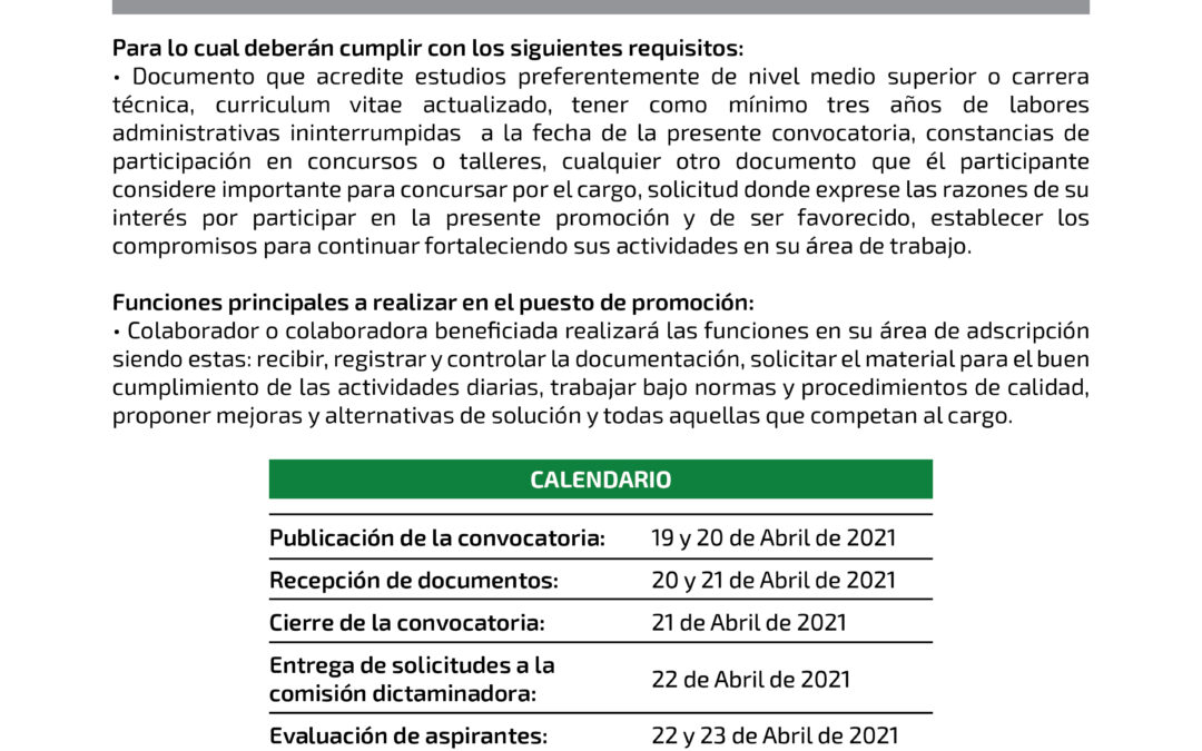 Técnico Bibliotecario – 02/2021